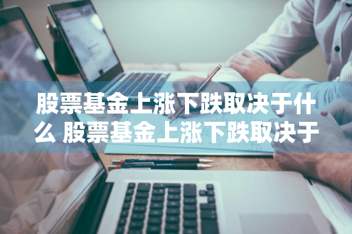 股票基金上涨下跌取决于什么 股票基金上涨下跌取决于什么因素