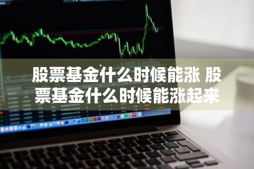 股票基金什么时候能涨 股票基金什么时候能涨起来