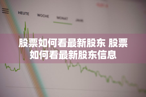 股票如何看最新股东 股票如何看最新股东信息