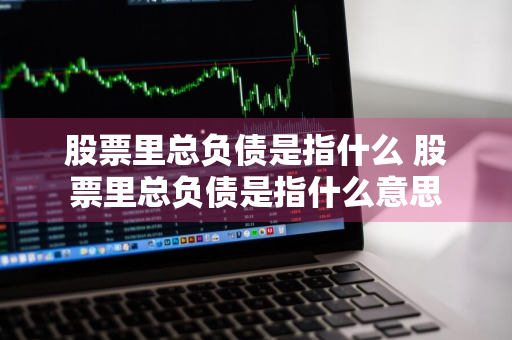 股票里总负债是指什么 股票里总负债是指什么意思