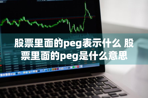 股票里面的peg表示什么 股票里面的peg是什么意思