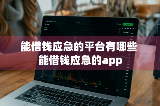 能借钱应急的平台有哪些 能借钱应急的app