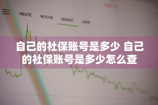 自己的社保账号是多少 自己的社保账号是多少怎么查