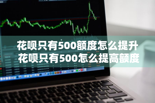 花呗只有500额度怎么提升 花呗只有500怎么提高额度