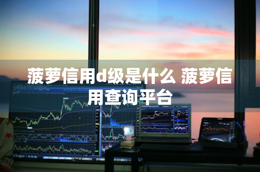 菠萝信用d级是什么 菠萝信用查询平台