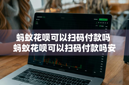 蚂蚁花呗可以扫码付款吗 蚂蚁花呗可以扫码付款吗安全吗