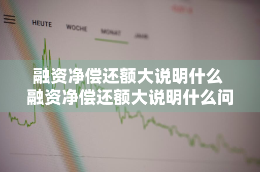 融资净偿还额大说明什么 融资净偿还额大说明什么问题