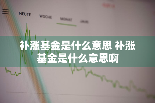 补涨基金是什么意思 补涨基金是什么意思啊
