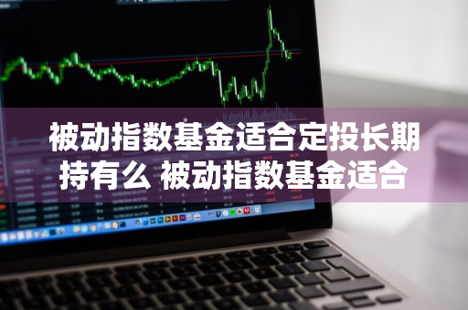 被动指数基金适合定投长期持有么 被动指数基金适合定投长期持有么