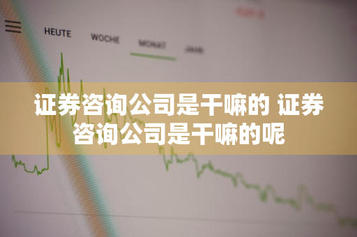 证券咨询公司是干嘛的 证券咨询公司是干嘛的呢