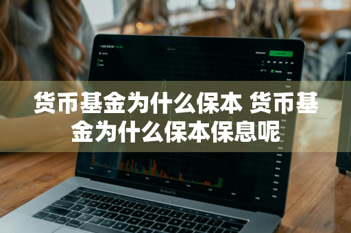 货币基金为什么保本 货币基金为什么保本保息呢