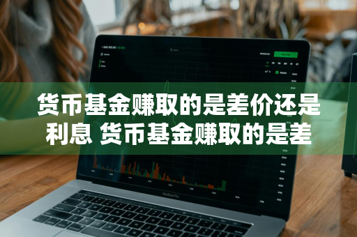 货币基金赚取的是差价还是利息 货币基金赚取的是差价还是利息呢