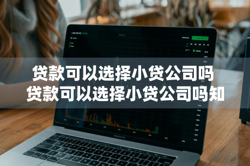 贷款可以选择小贷公司吗 贷款可以选择小贷公司吗知乎