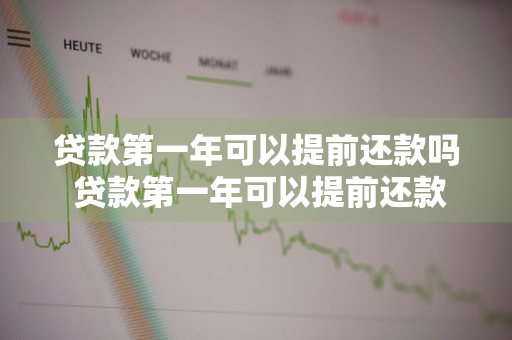 贷款第一年可以提前还款吗 贷款第一年可以提前还款吗