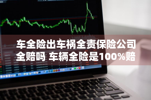 车全险出车祸全责保险公司全赔吗 车辆全险是100%赔偿么