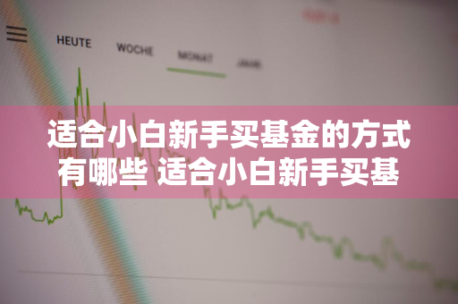 适合小白新手买基金的方式有哪些 适合小白新手买基金的方式有哪些呢