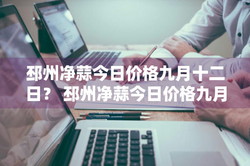 邳州净蒜今日价格九月十二日？ 邳州净蒜今日价格九月十二日