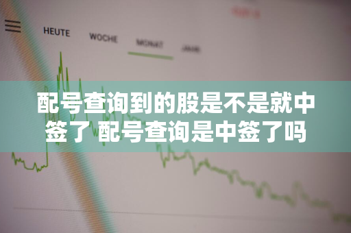 配号查询到的股是不是就中签了 配号查询是中签了吗