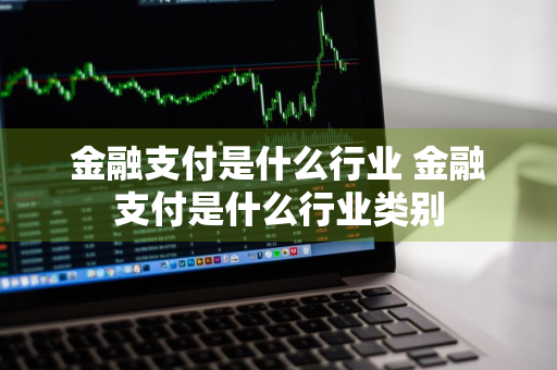 金融支付是什么行业 金融支付是什么行业类别