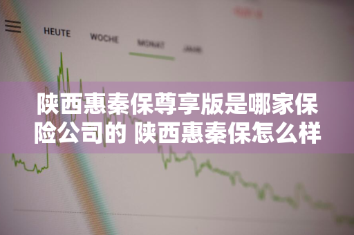 陕西惠秦保尊享版是哪家保险公司的 陕西惠秦保怎么样