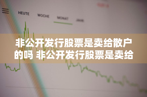 非公开发行股票是卖给散户的吗 非公开发行股票是卖给散户的吗知乎