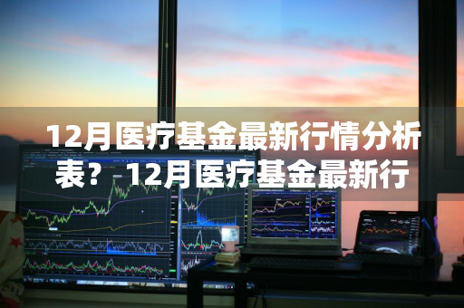 12月医疗基金最新行情分析表？ 12月医疗基金最新行情分析表格