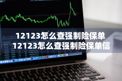 12123怎么查强制险保单 12123怎么查强制险保单信息