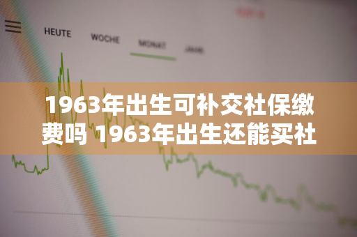 1963年出生可补交社保缴费吗 1963年出生还能买社保吗,补交多少钱