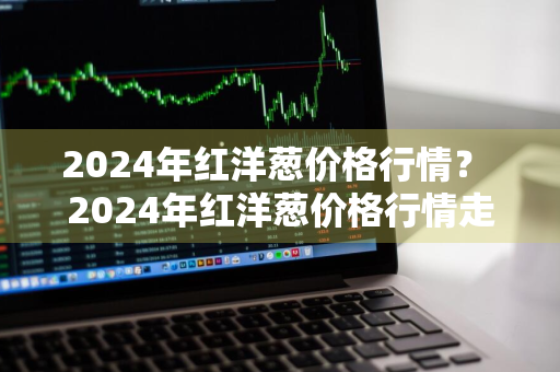 2024年红洋葱价格行情？ 2024年红洋葱价格行情走势