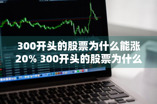 300开头的股票为什么能涨20% 300开头的股票为什么能涨200