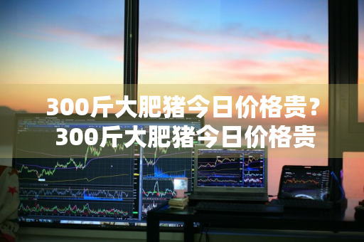 300斤大肥猪今日价格贵？ 300斤大肥猪今日价格贵