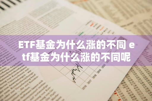 ETF基金为什么涨的不同 etf基金为什么涨的不同呢