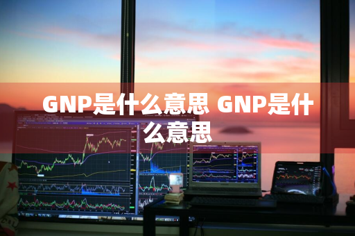 GNP是什么意思 GNP是什么意思