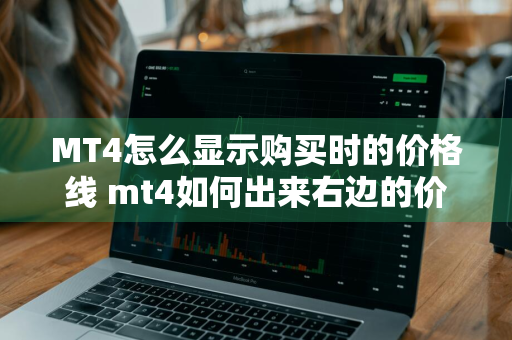 MT4怎么显示购买时的价格线 mt4如何出来右边的价格数据