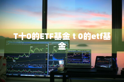 T十0的ETF基金 t+0的etf基金