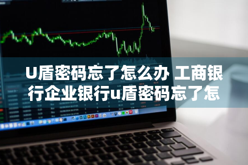 U盾密码忘了怎么办 工商银行企业银行u盾密码忘了怎么办