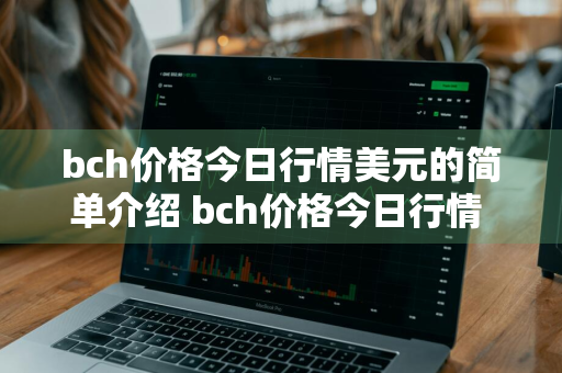 bch价格今日行情美元的简单介绍 bch价格今日行情 美元