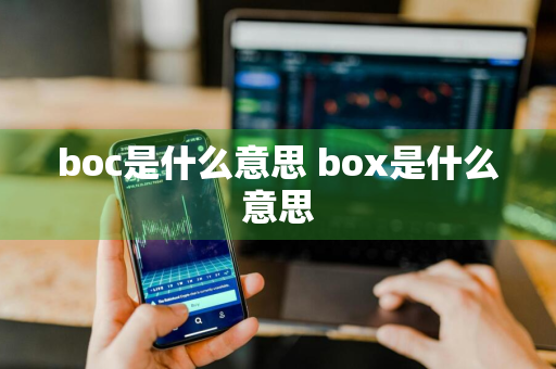 boc是什么意思 box是什么意思