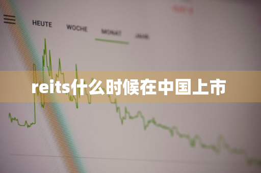 reits什么时候在中国上市 