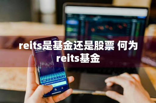 reits是基金还是股票 何为reits基金