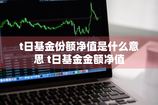 t日基金份额净值是什么意思 t日基金金额净值