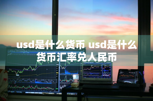 usd是什么货币 usd是什么货币汇率兑人民币