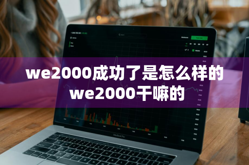 we2000成功了是怎么样的 we2000干嘛的